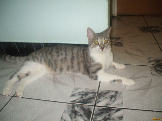 dscf3062.jpg