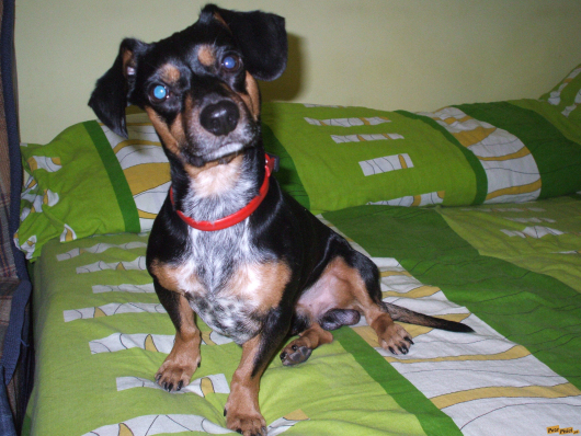 dscf4685.jpg