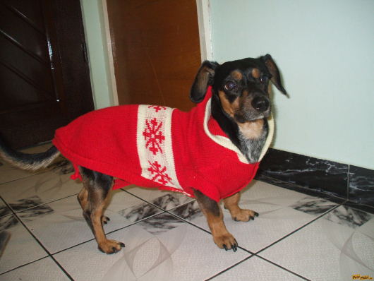 mex-pisi-117.jpg