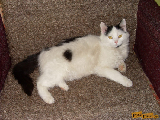 VLUU L100, M100  / Samsung L100, M100