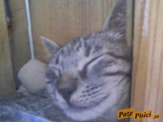 fotografii-0263
