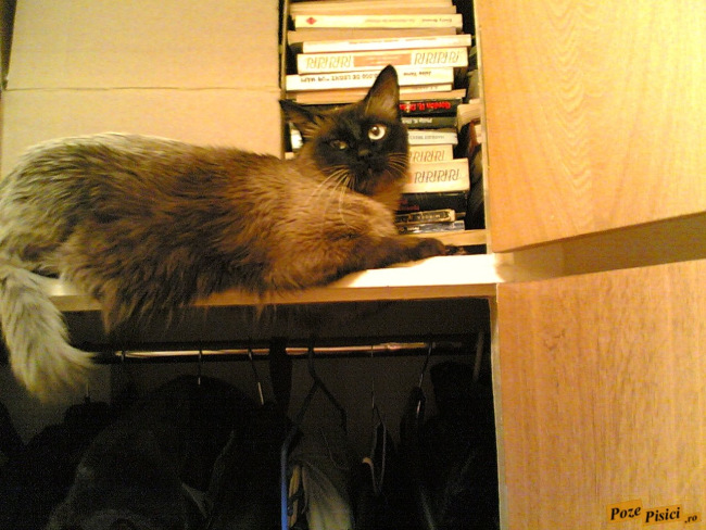 mitzi3