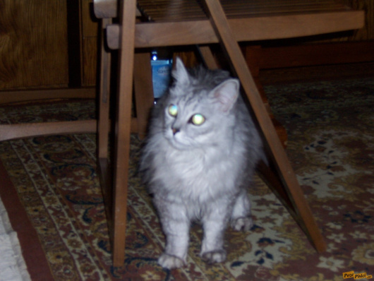 100_4921.jpg