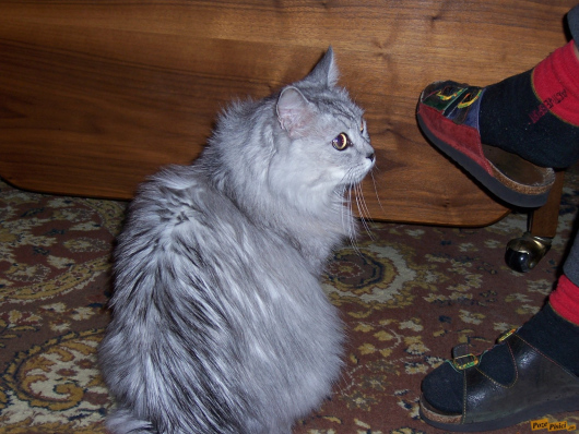 100_4922.jpg