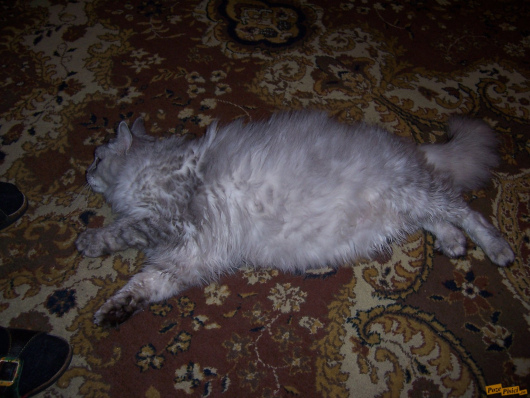 100_4927.jpg