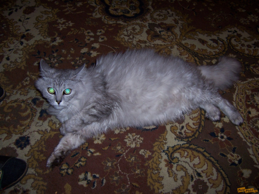 100_4928.jpg