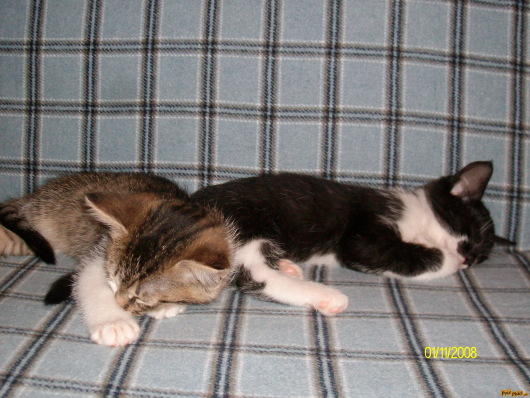 Picture 007.jpg
