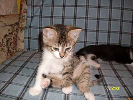Picture 015.jpg