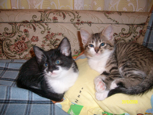 Picture 021.jpg