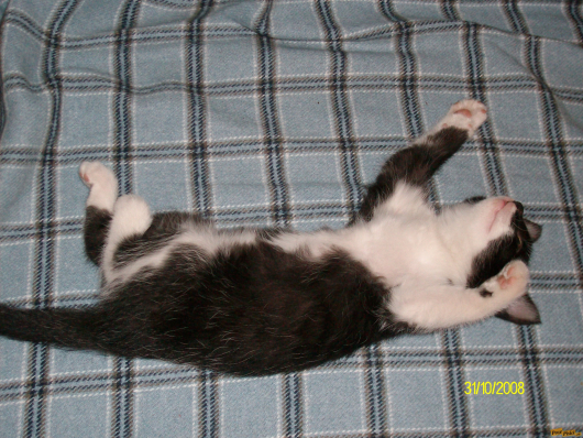 Picture 024.jpg