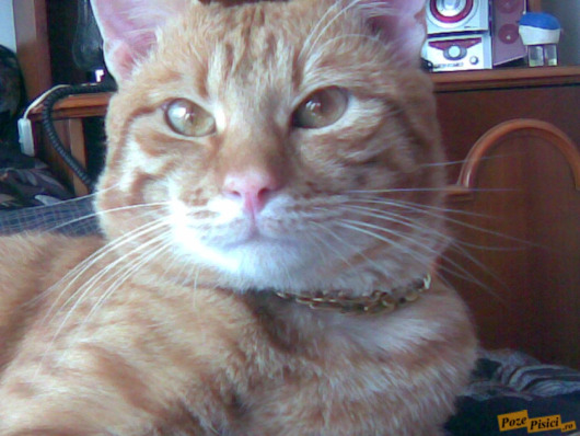 06092007001.jpg