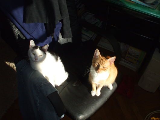 DSCF1195.jpg